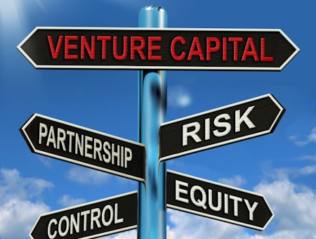 legal entity of venture capital company